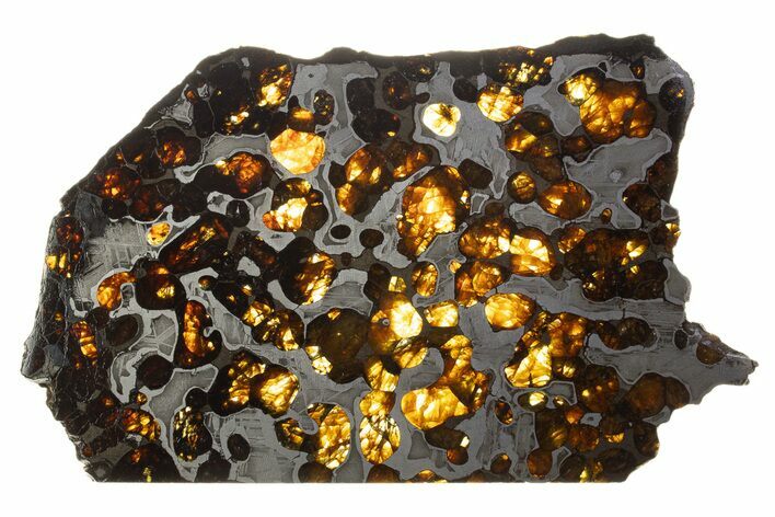 Brenham Pallasite Meteorite ( g) Slice - Kansas #310387